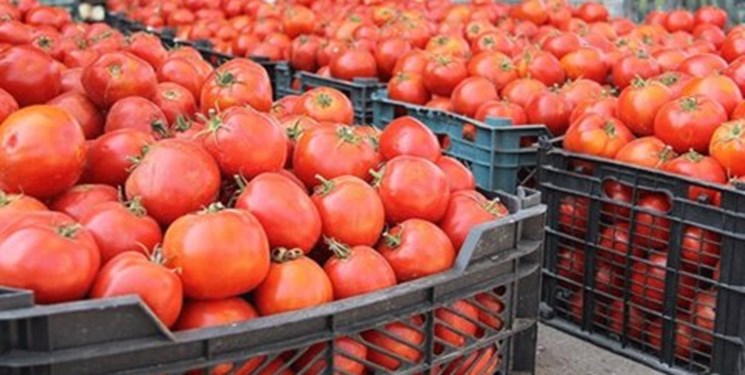 عوارض صادرات محصولات آب‌بر برای تقویت تولید کالاهای اساسی دو برابر شد