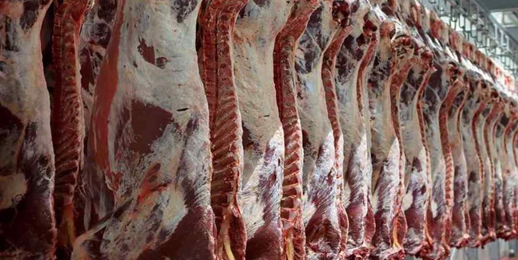 عرضه گوشت گرم وارداتی به هفته آینده موکول شد