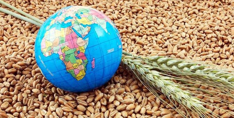 چگونه می توان ضریب امنیت غذایی را با زمین های دیم افزایش داد