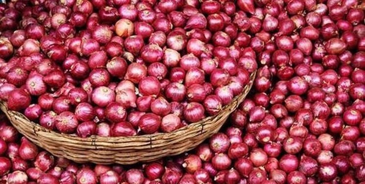 قیمت پیاز با عرضه گسترده محصول مناطق جنوب کاهش یافت