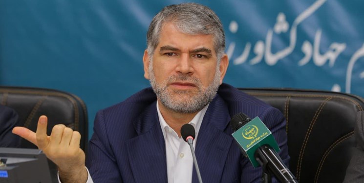 تاثیر آمار اشتباه  کشاورزی در گرانی گوشت قرمز
